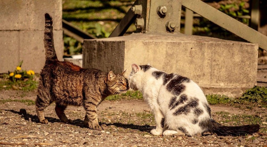 Bedrijven in Zoetermeer